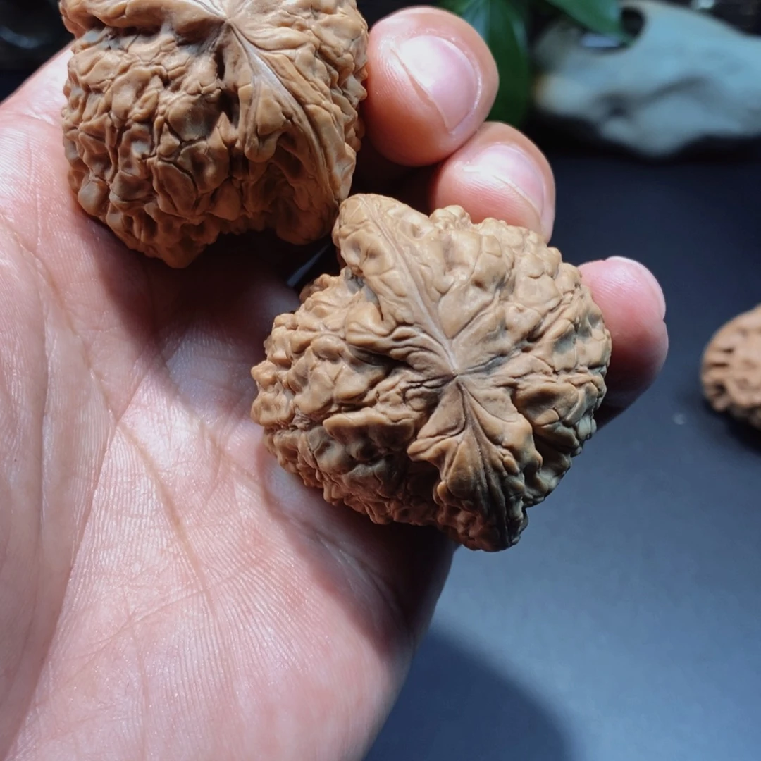 文玩核桃把件橙***意龙鼎0002