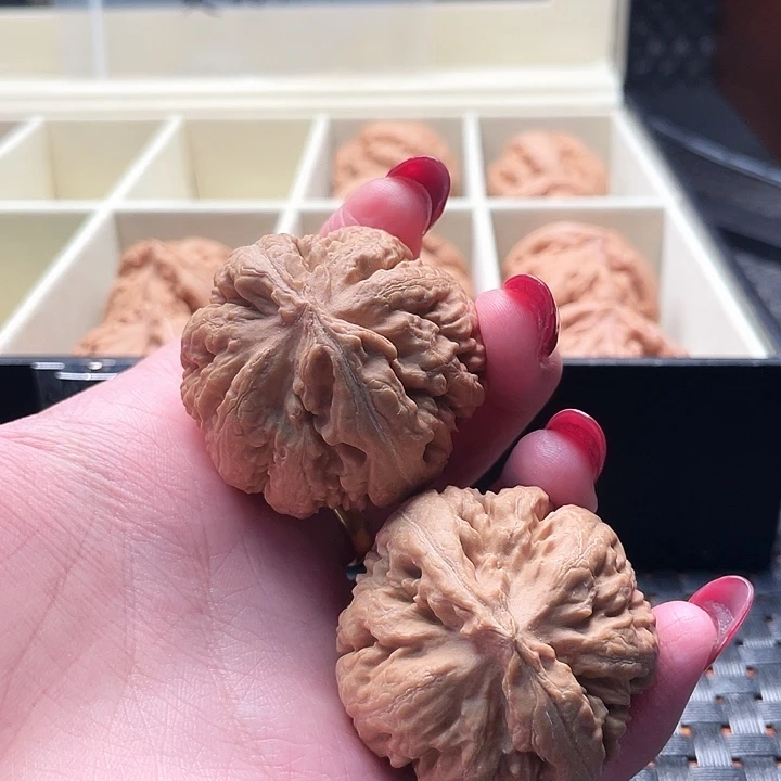 用***6霸王龙核桃尺寸40+