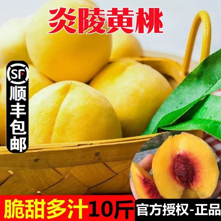 顺丰包邮正宗炎陵黄桃脆甜多汁精选大果炎陵红心黄桃当季水果现摘