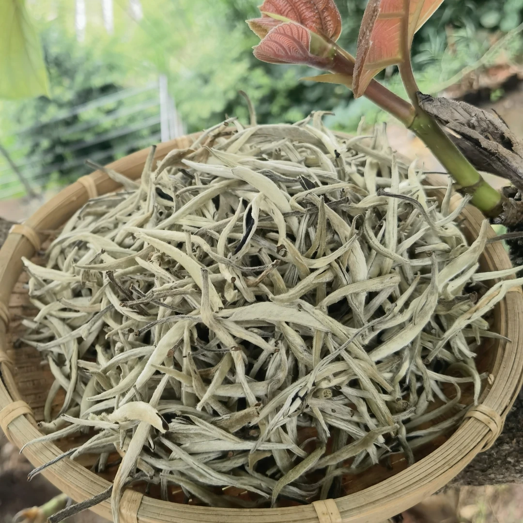 2025年白毫银针普洱茶（白茶）100克散料