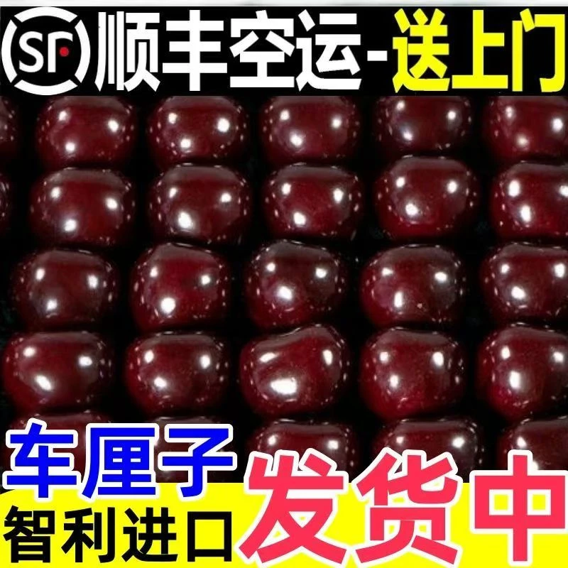 3JD【5斤原箱礼盒】进口智利桑提娜车厘子水果内附果径卡2500g空运