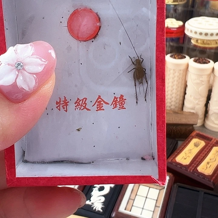 A***庭哈哈哈哈哈大黄两个