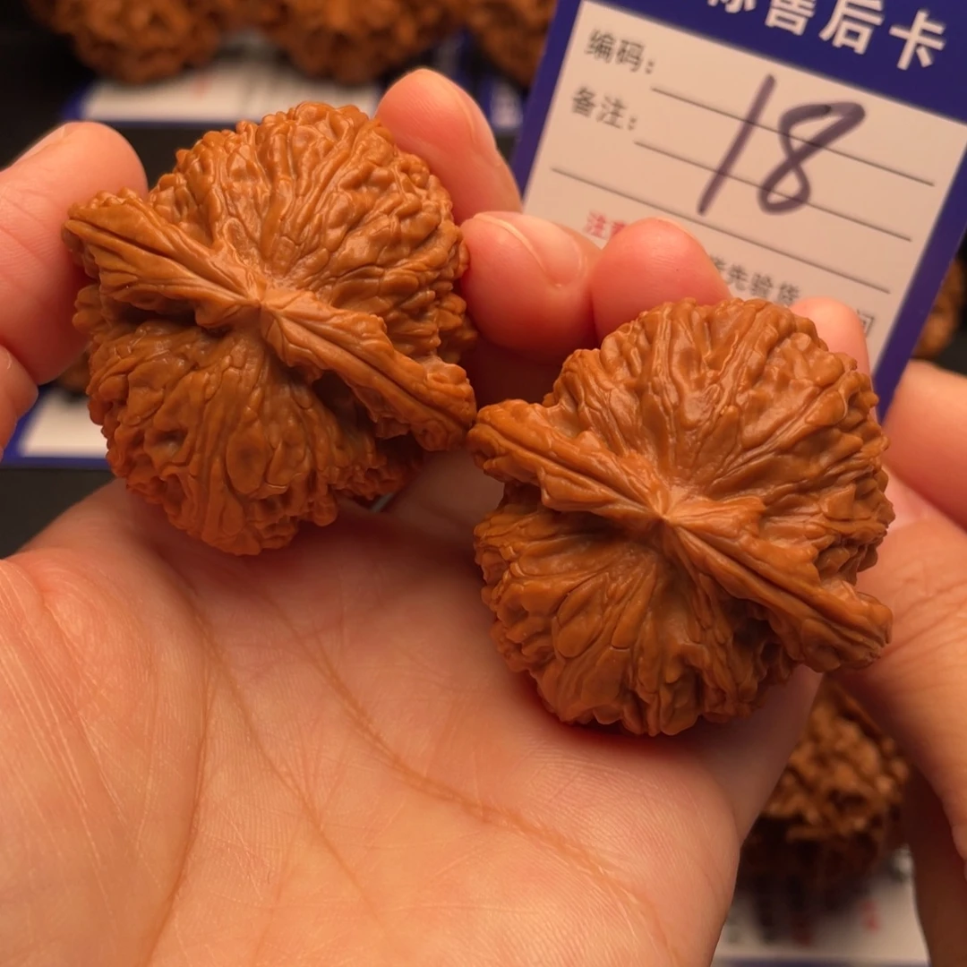 把件文玩核桃白狮子43全品18号