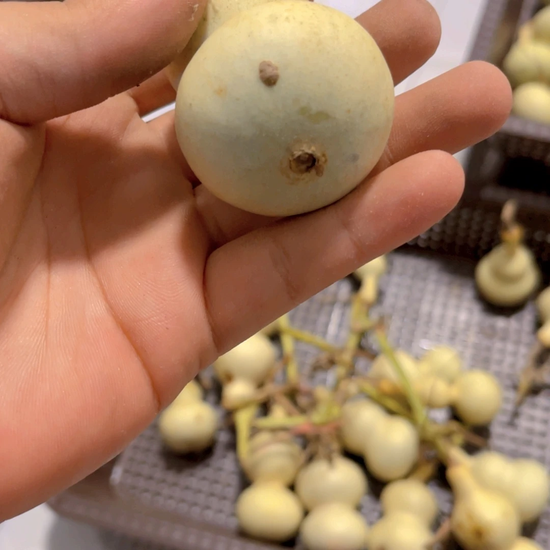 二***哥感谢大哥支持兄弟不保