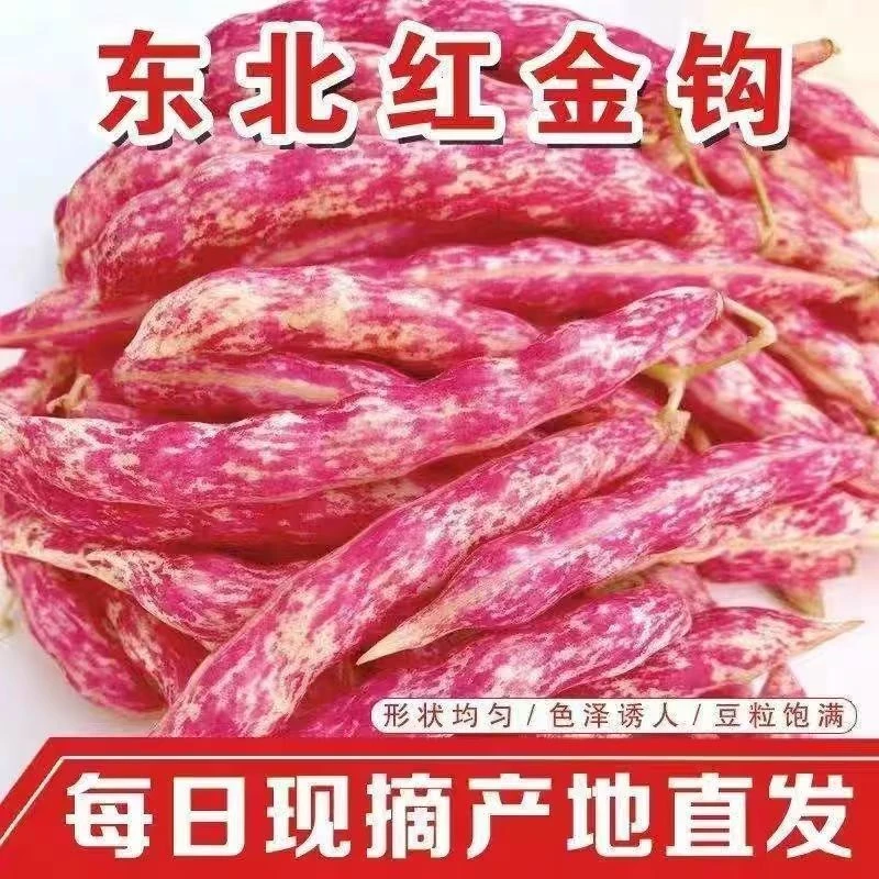 东北特产红金钩豆角新鲜现摘豆粒饱满包邮