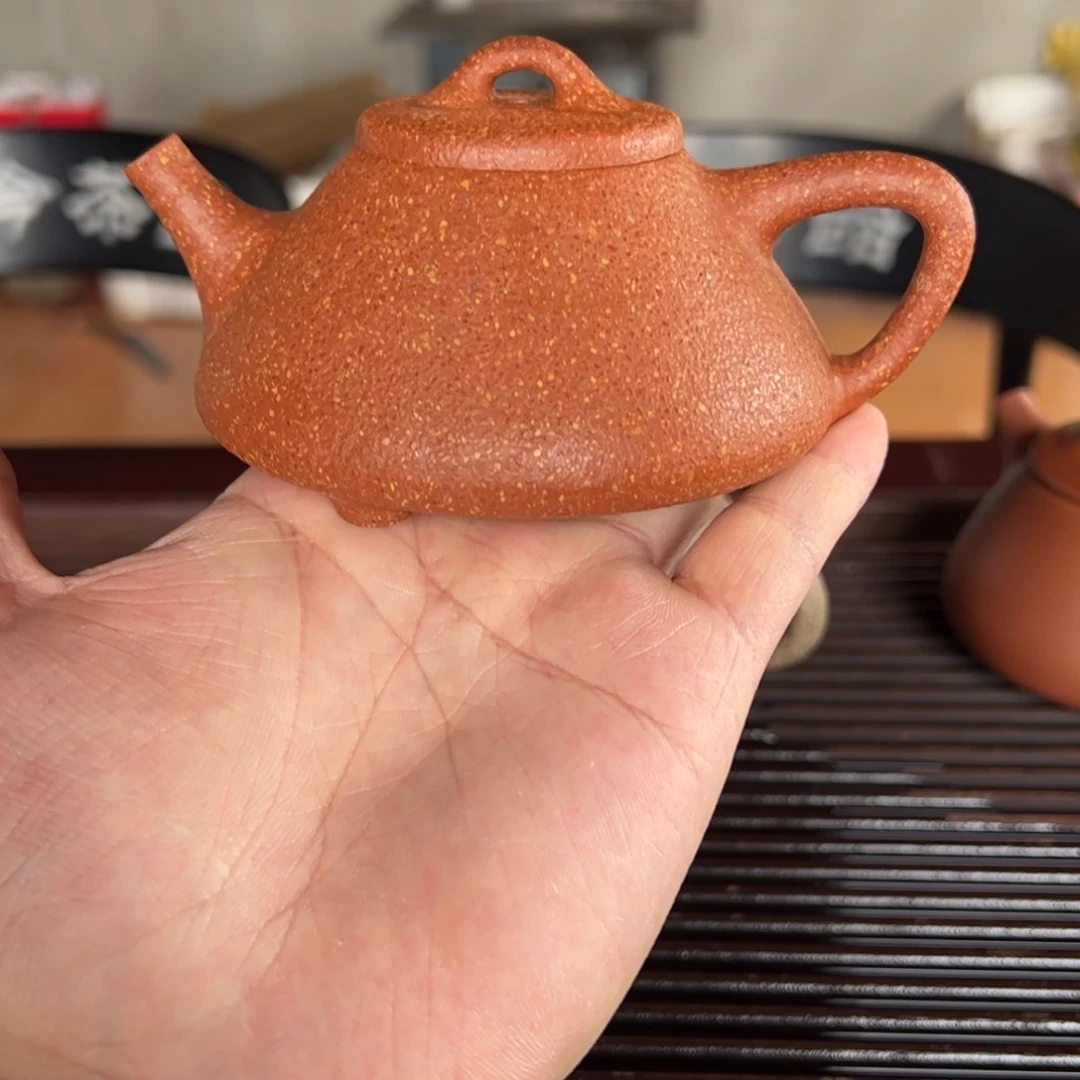 …………………………………………………………