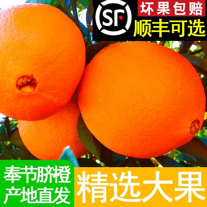 重庆奉节伦晚脐橙当季新鲜现摘水果顺丰包邮甜橙5-10斤皮薄橙子