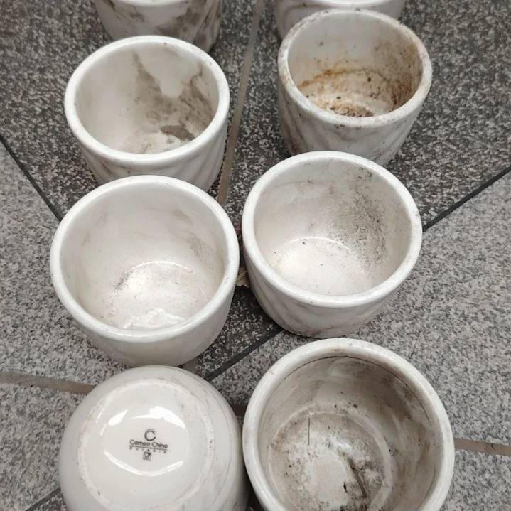 瓷片陶瓷碗陶瓷碗陶