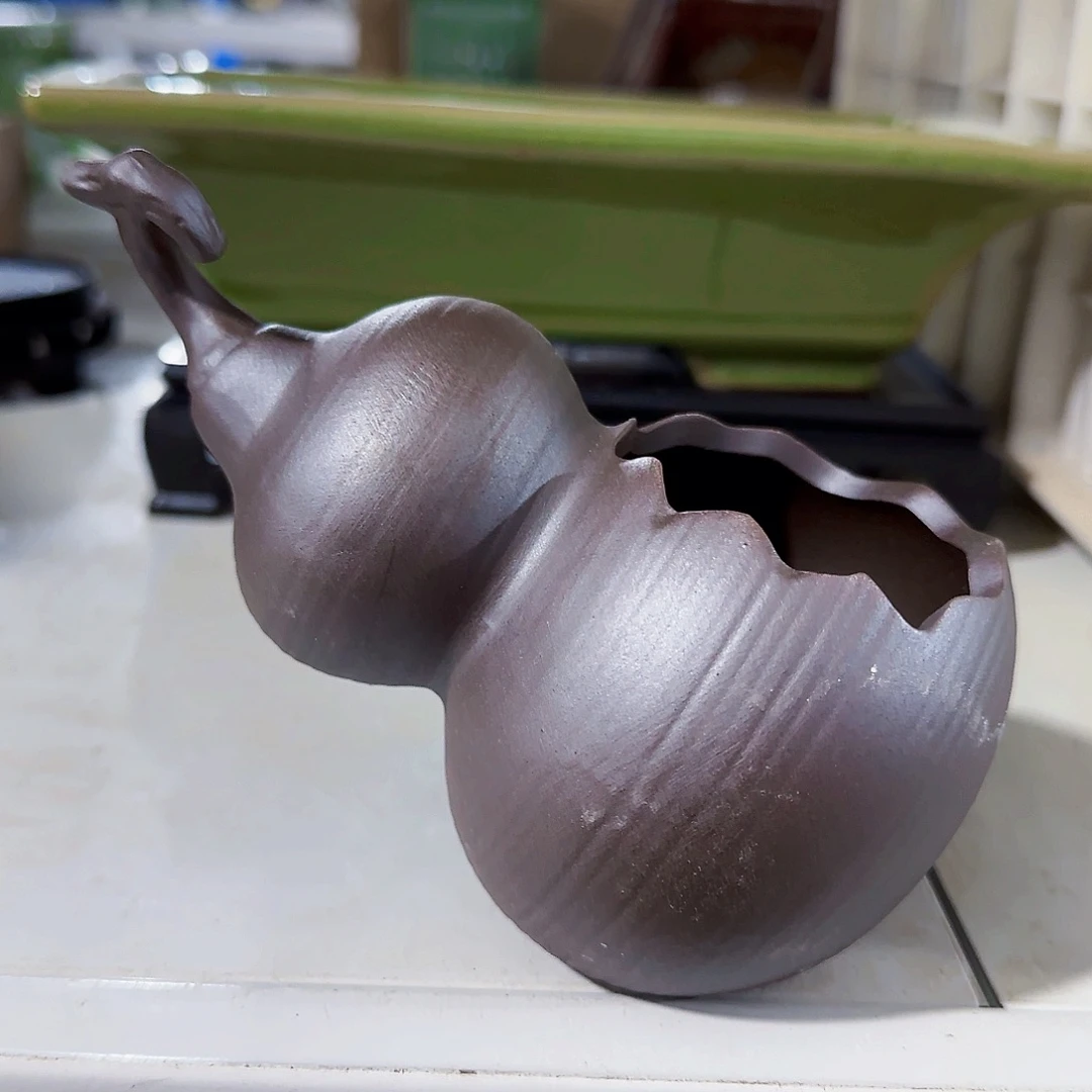 陶瓷花盆特价上新