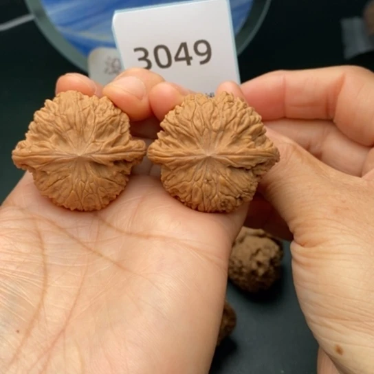 文玩核桃把件39.5全品正磨3049
