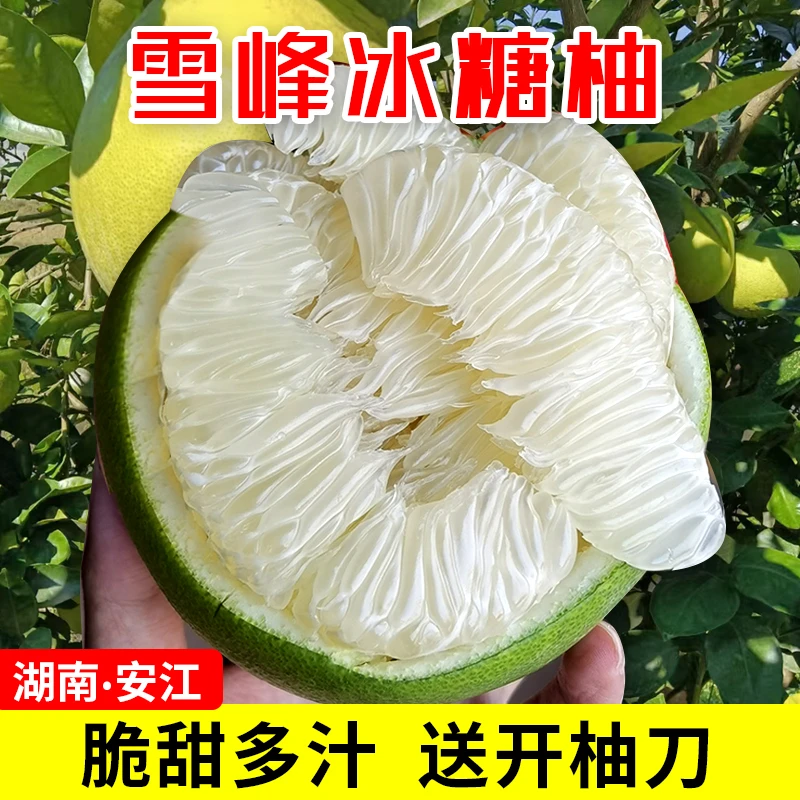 正宗安江雪峰冰糖柚湖南怀化小柚子老树苦柚井冈蜜柚金兰柚水果