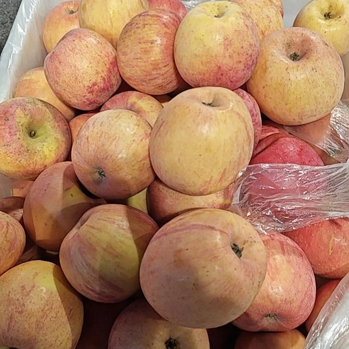 金冠苹果宜君红富士苹果