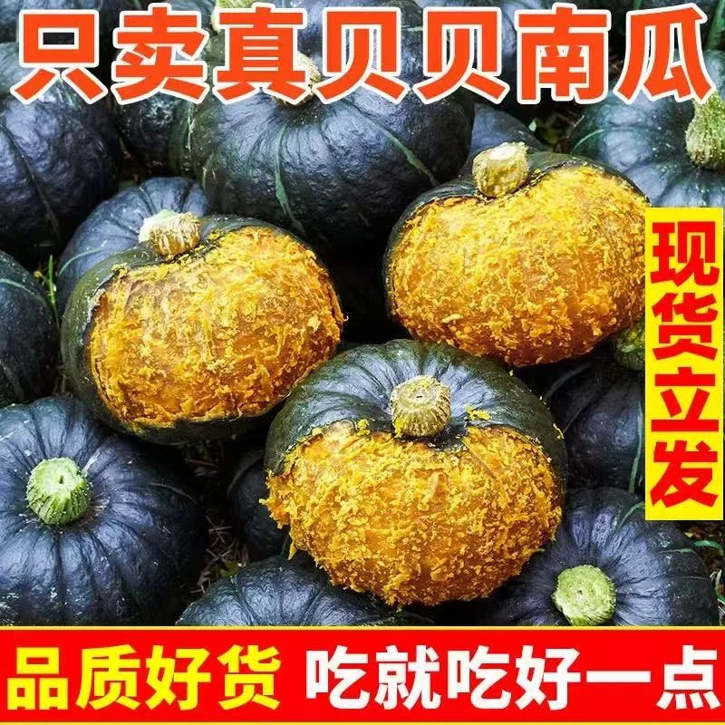 正宗优质沙地贝贝南瓜口感似板栗粉糯香甜适合当辅食4.5斤