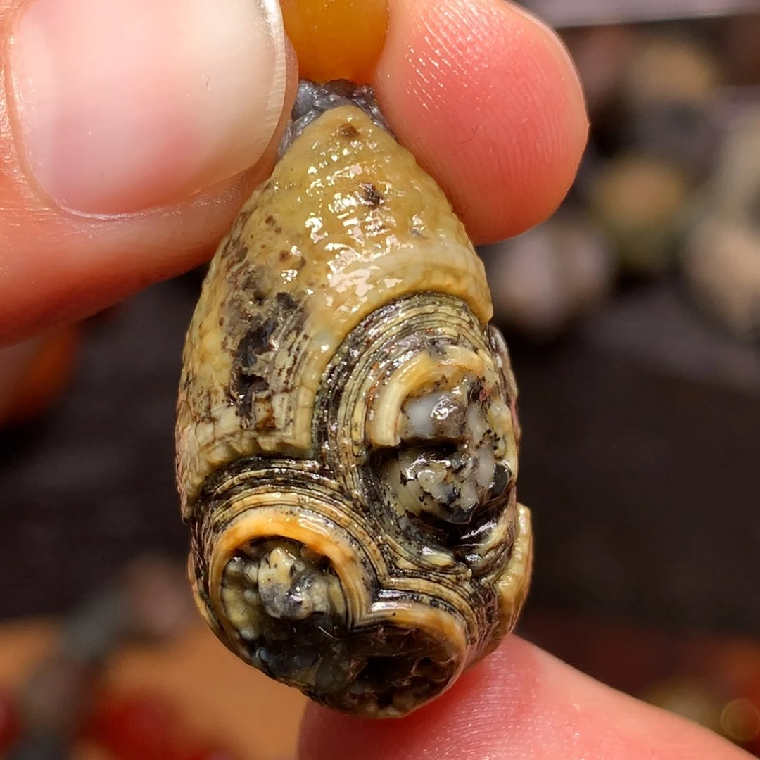 未镶嵌玛瑙/玉髓珠宝半成品