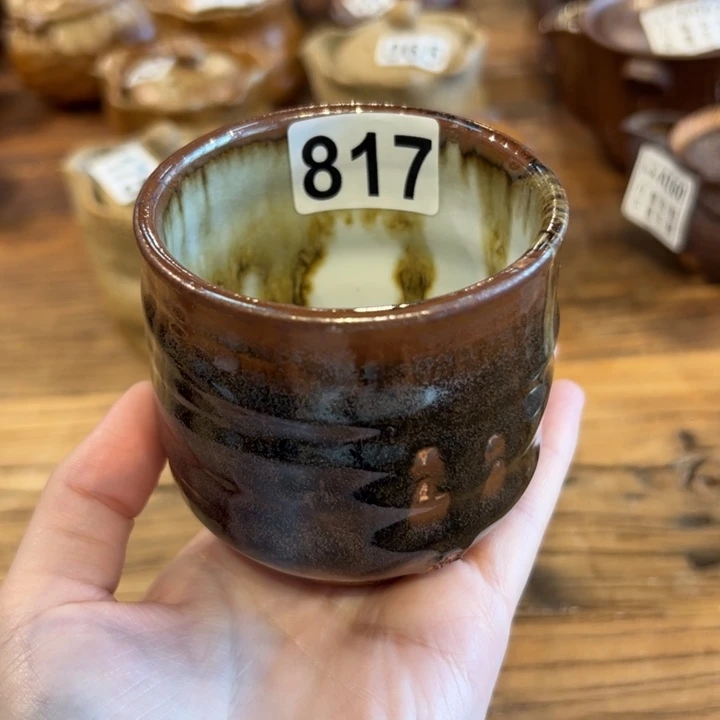 福利主人杯主人杯