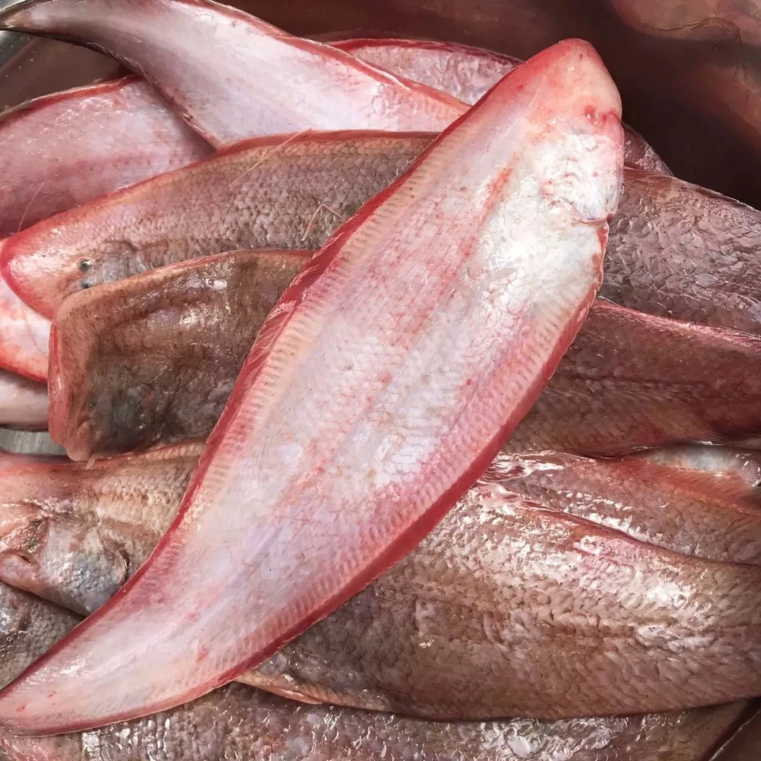 小任哥海鲜-牛舌鱼鳎目鱼顺丰包邮