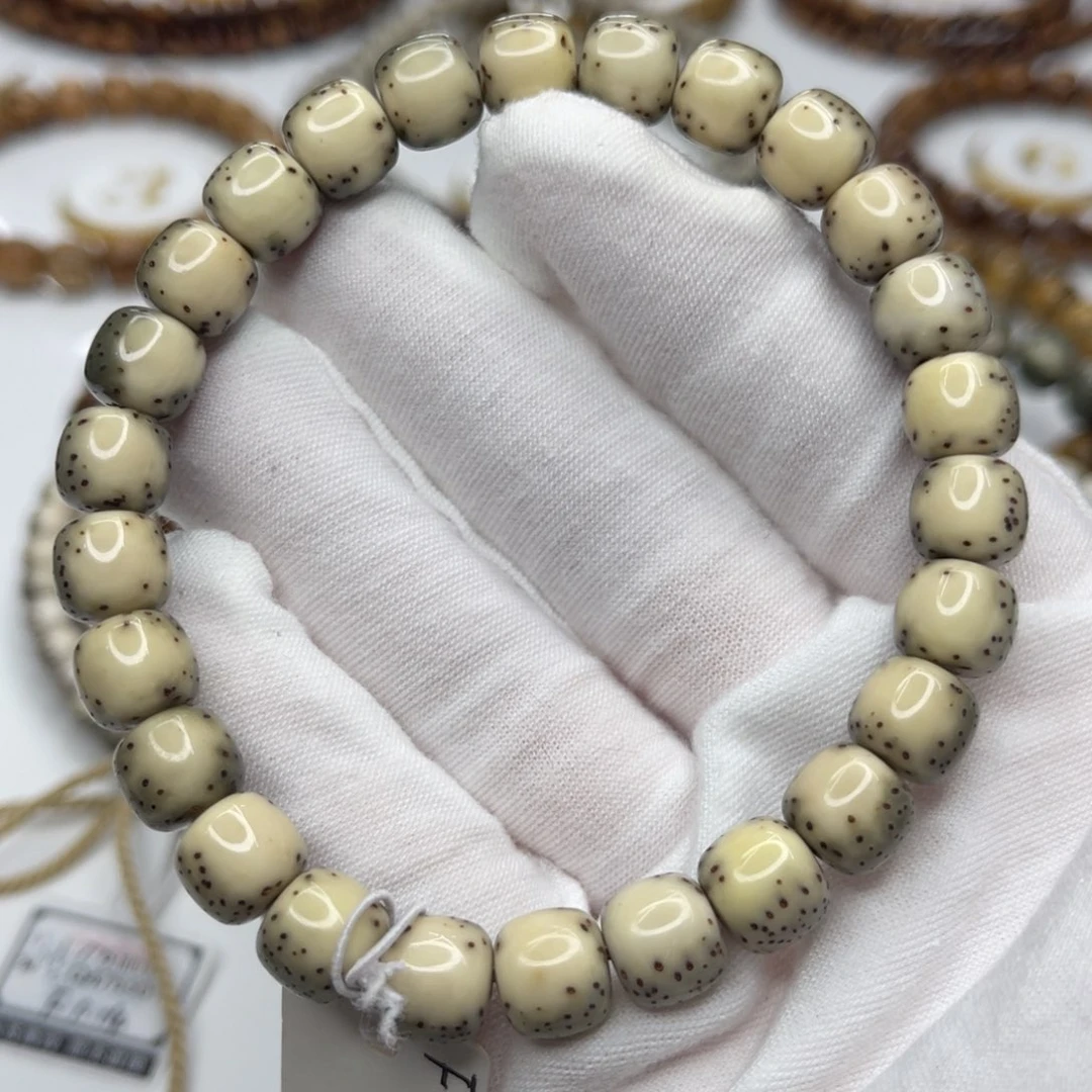 星月菩提吊坠8/9绿背河豚半壁江山