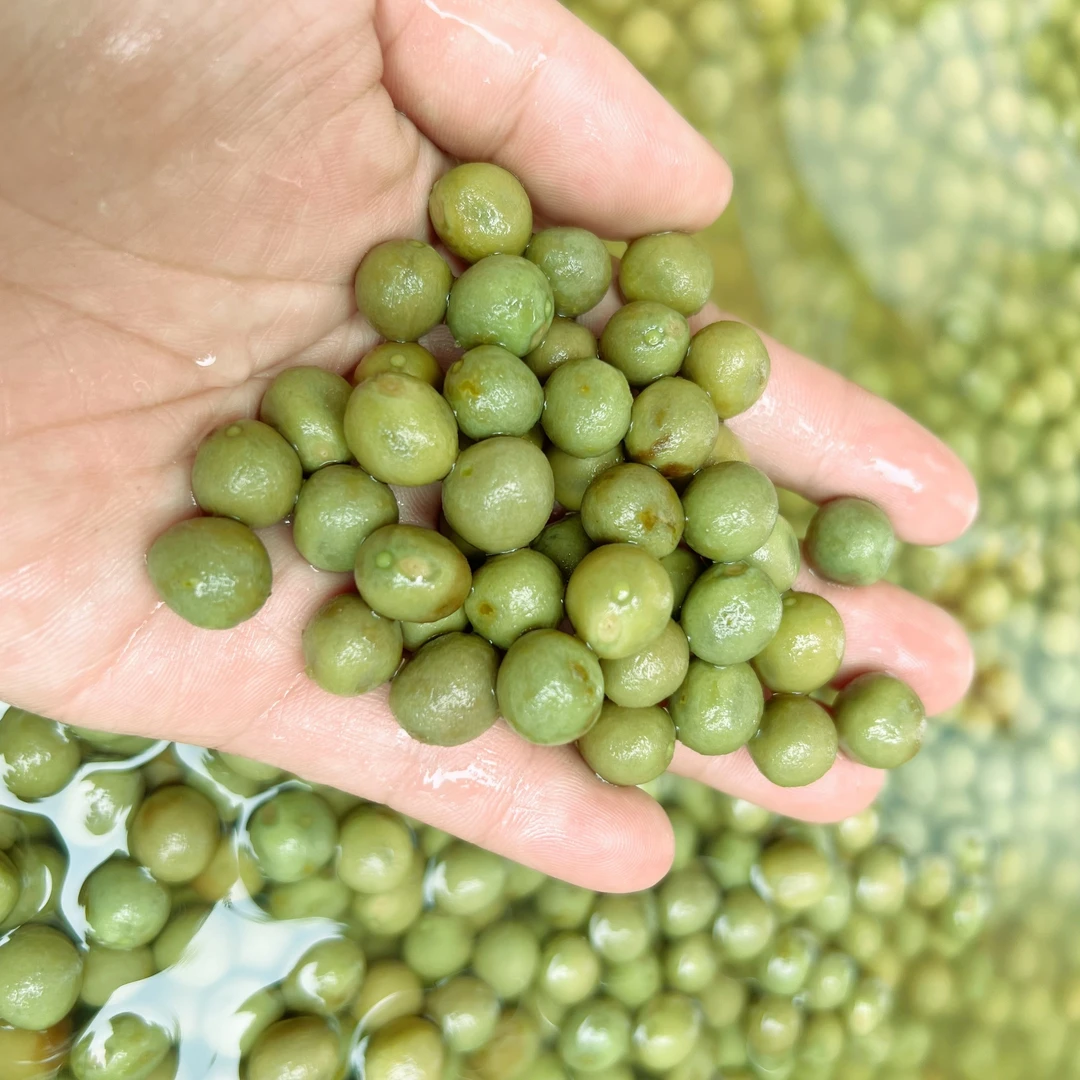 25年滁州天长鸡头果老二青（果壳偏硬建议微波炉加热食用）