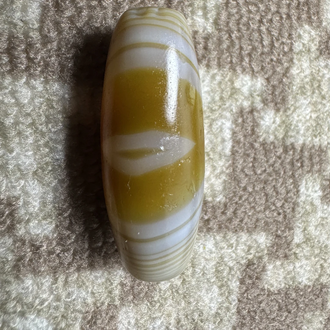 藏系千岁黄金眼缠丝
