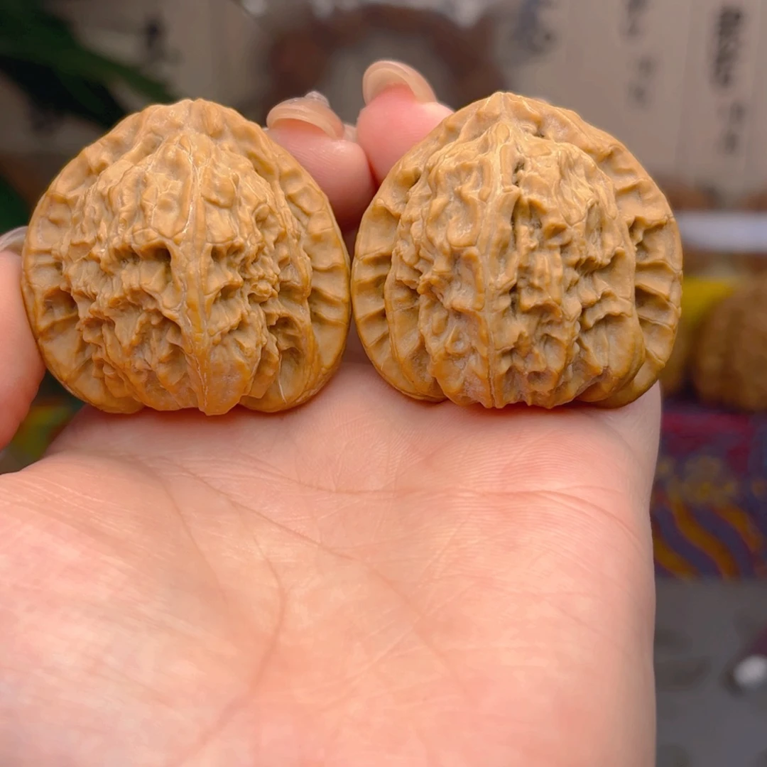 白狮子头四十点五尺