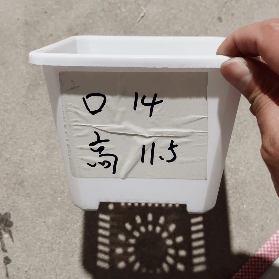 塑料升级款景天14方白色盆10个无托