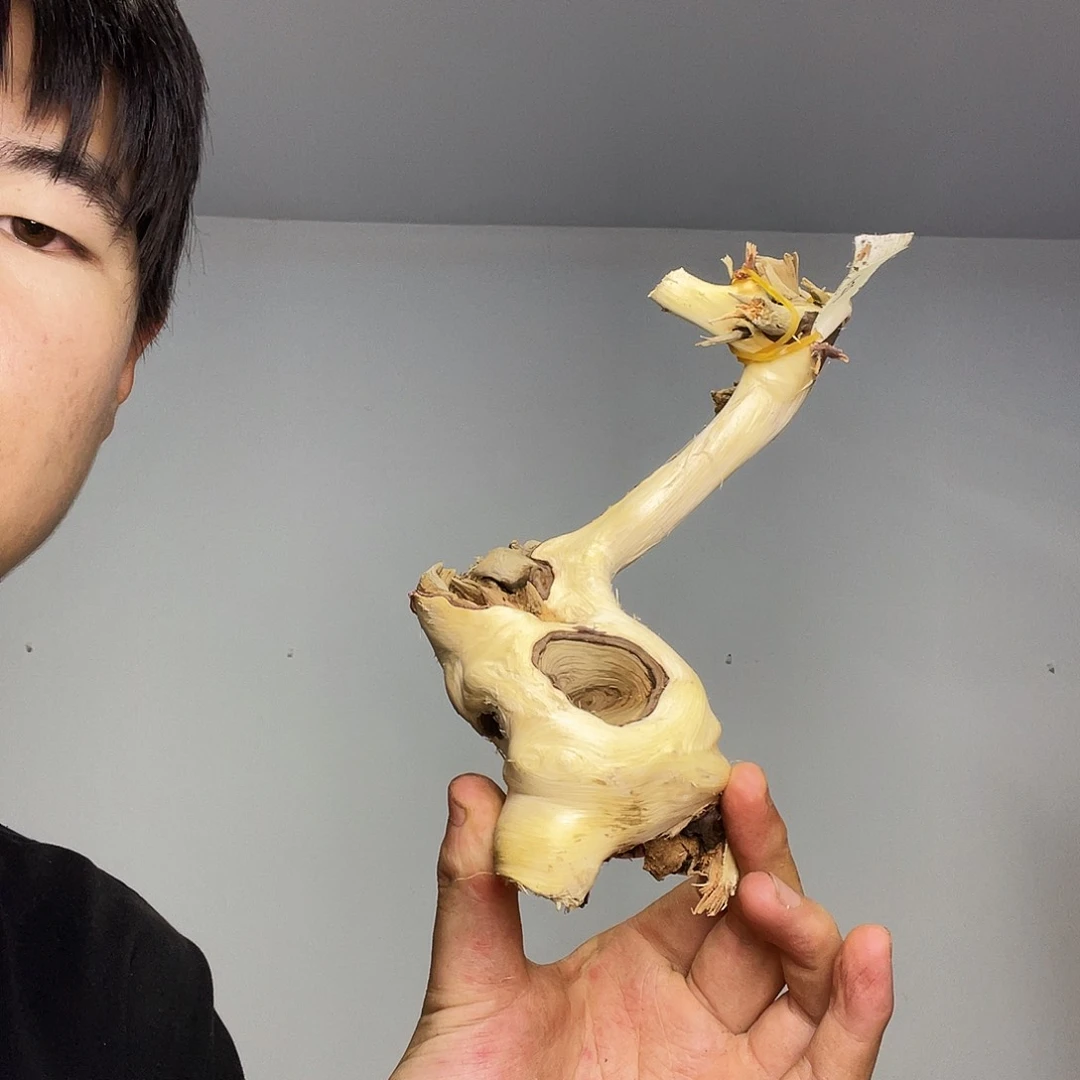 北***璃橄榄核手串/手链！干干净净了我就放心大胆