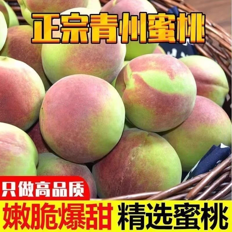 【正宗】山东青州蜜桃新鲜现摘脆甜离核应季水果