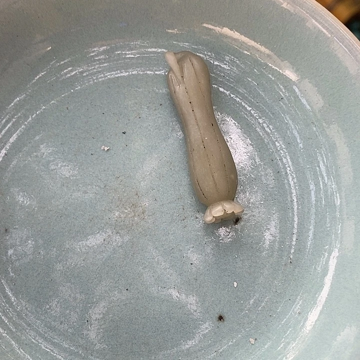 茶盏瓷器瓷器瓷器瓷器