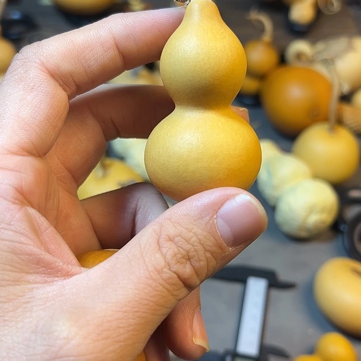 安***明小葫芦一物一拍一个