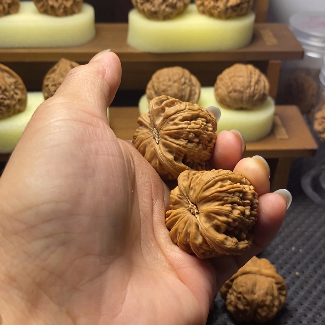 把件文玩核桃白狮子