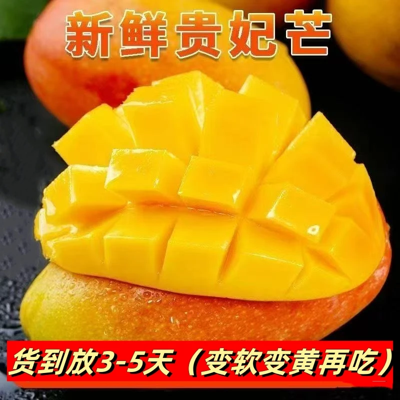 H海南三亚正宗高山核薄新鲜小贵妃芒果【货到放3-5日变软变黄再吃】