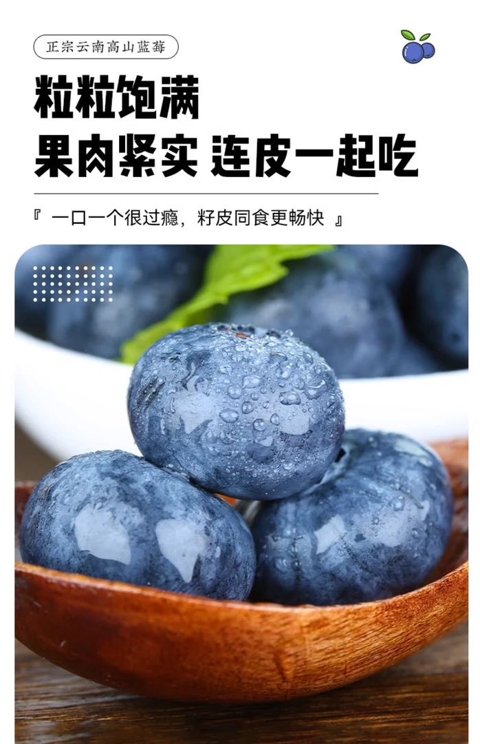 【基地直采】云南高山花香蓝莓新鲜采摘