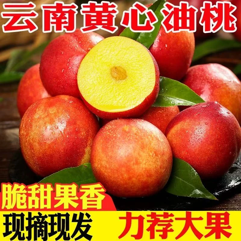 云南黄心油桃现摘现发应季新鲜水果