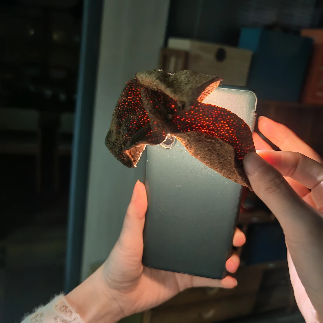 2008年新会老陈皮