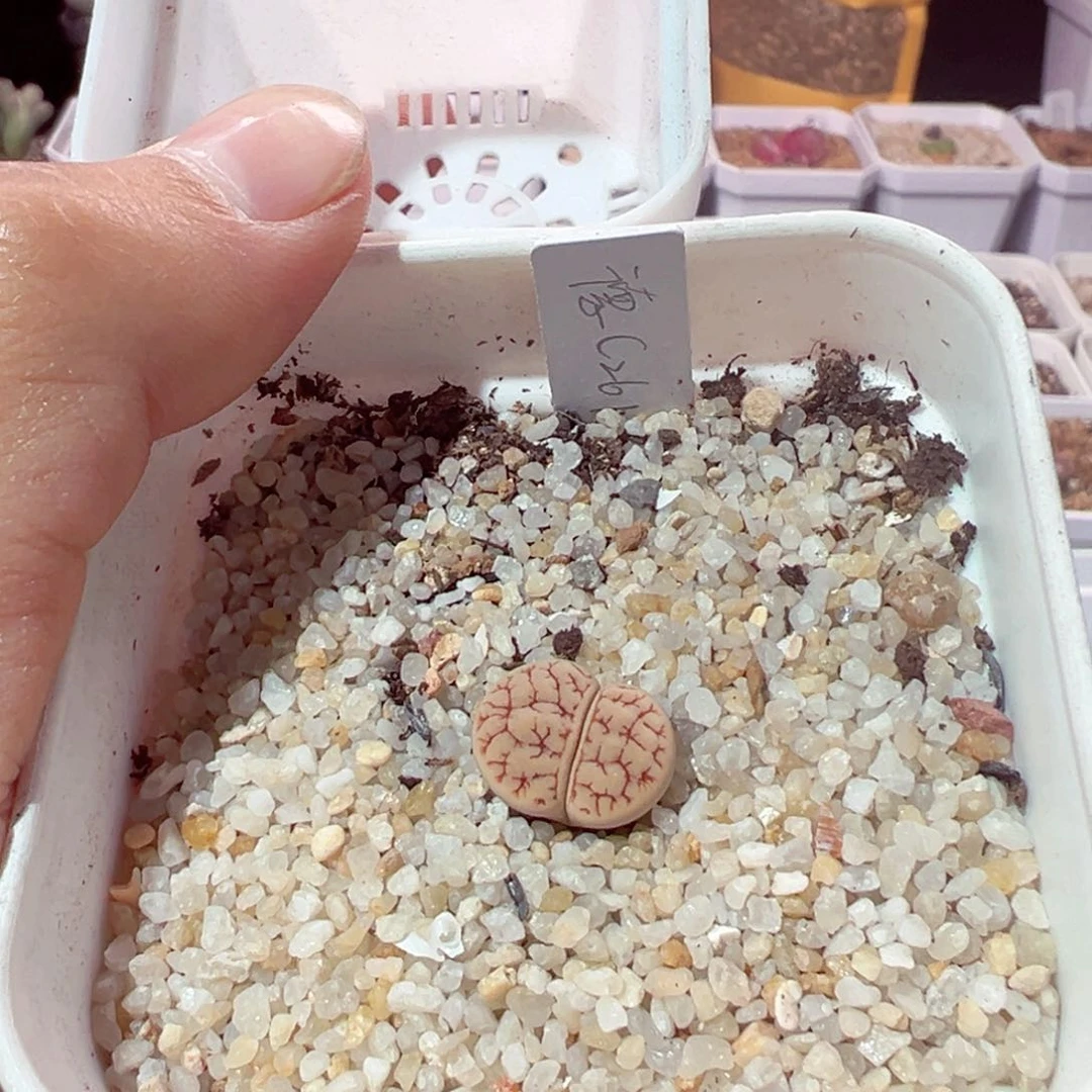 电****?417-537.我是真的不