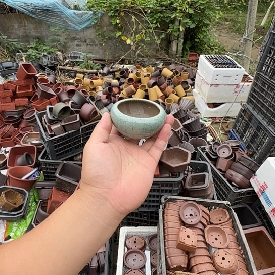 一哈来不急不快嘛亲爱