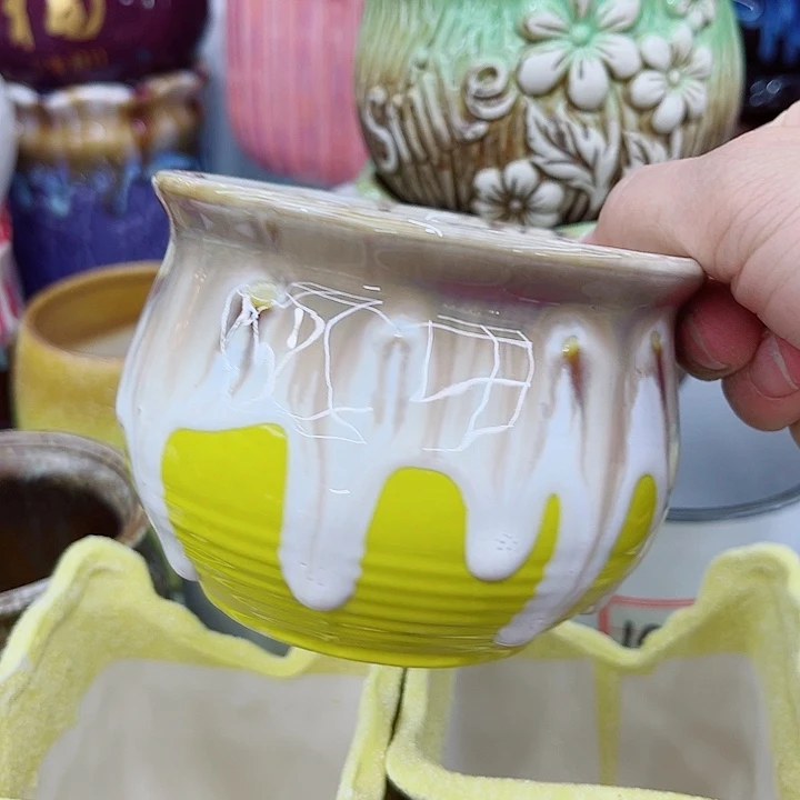 多肉植物花盆9.99包邮