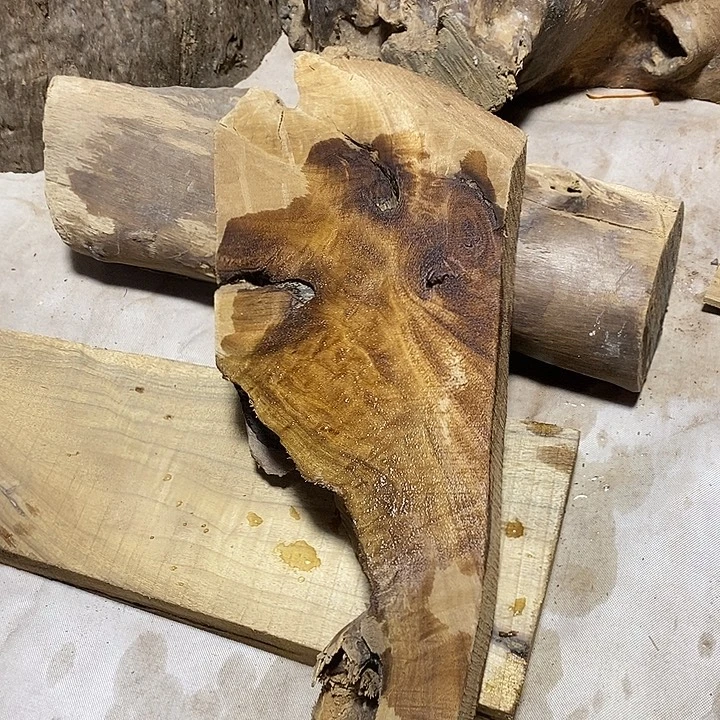 金丝楠木小叶桢楠木