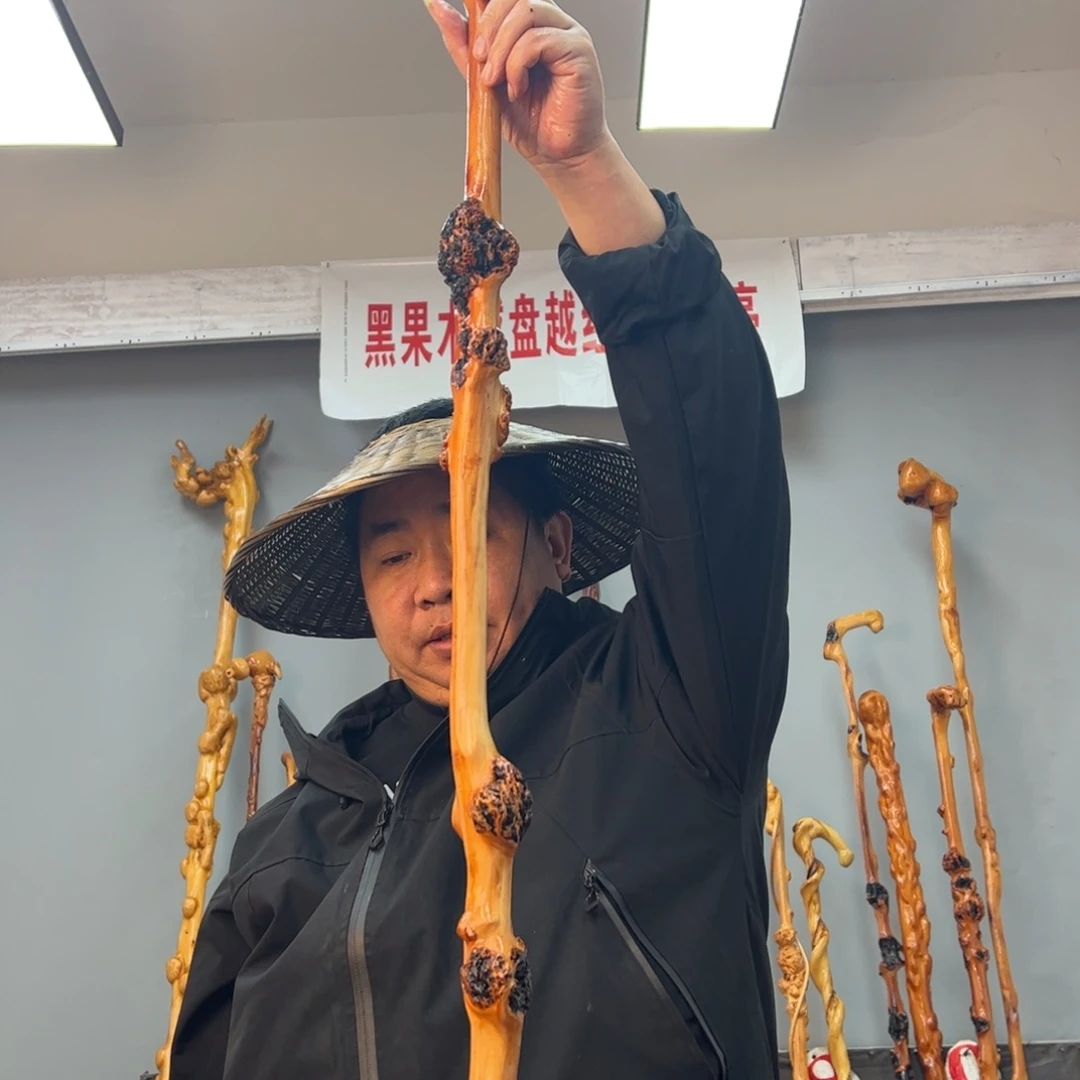 黑果木其他?黑果木263