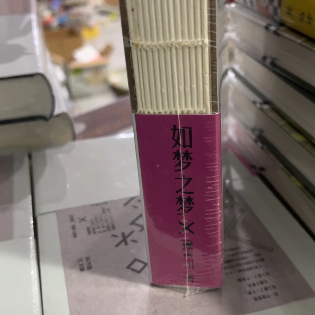 如梦之梦精装一个
