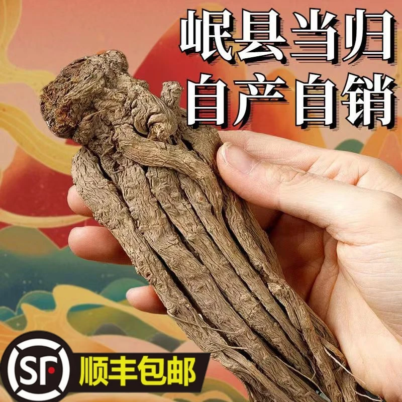 甘肃岷县原产地当归原条当季新货炖肉