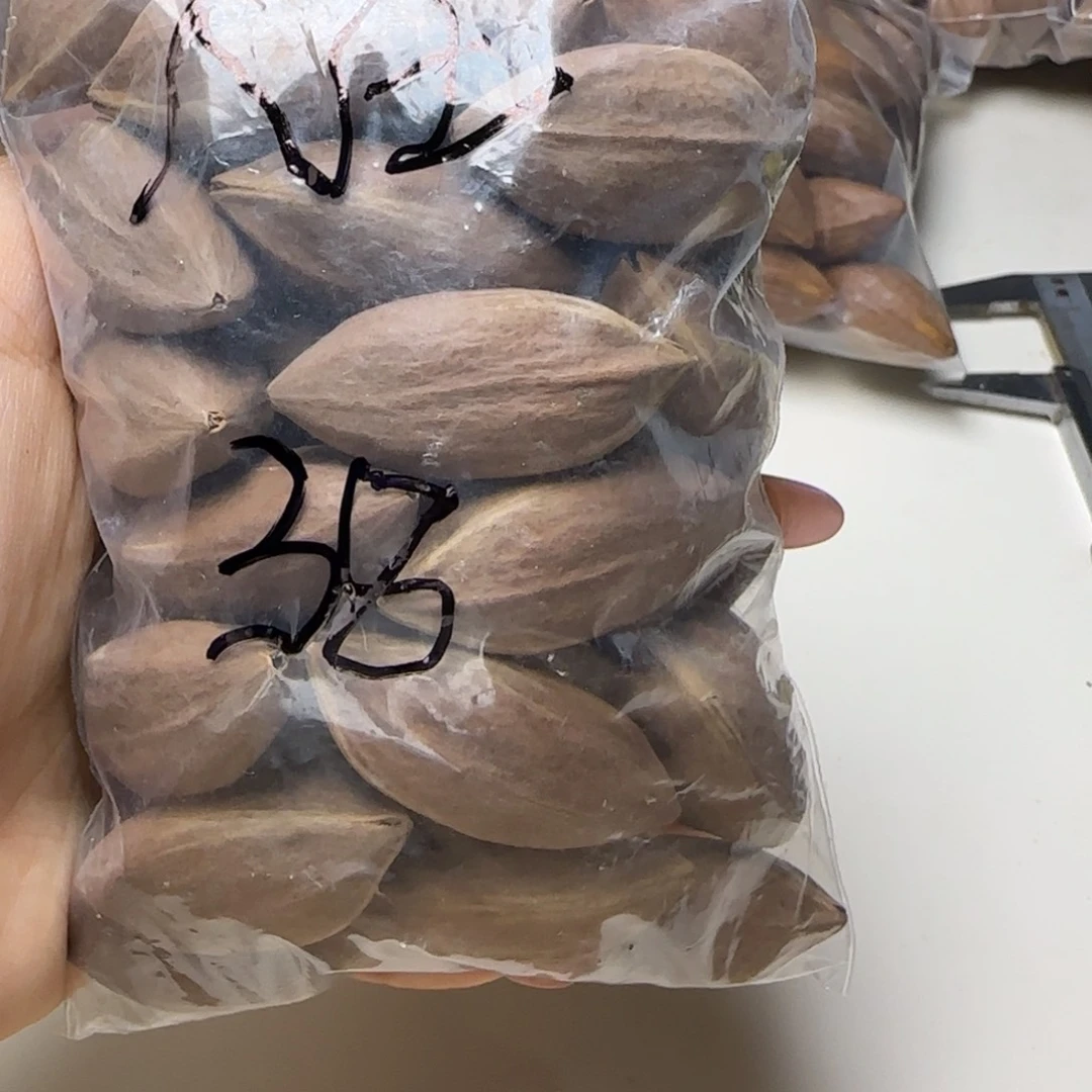 【闪购商品】橄榄核手串/手链人**湖橄榄核素核