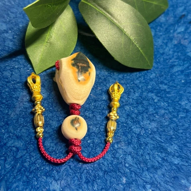 天然猛犸牙蓝眼睛鲨鱼背三通手工文玩配饰16*15mm套装顶珠三通