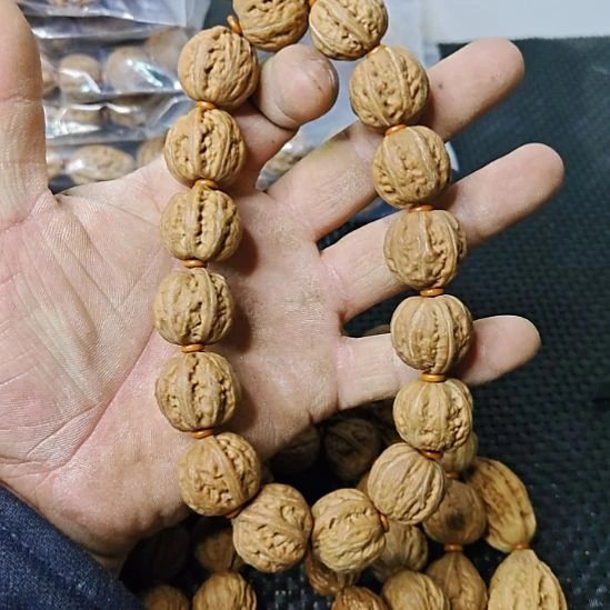 菩提籽类太行山货郎       13