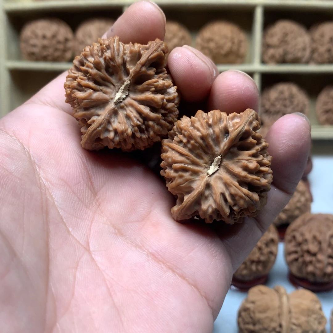 灰***虫吊坠文玩核桃满天星