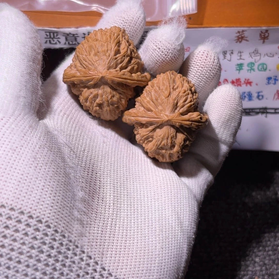 核桃把件白狮子练手对不退不换