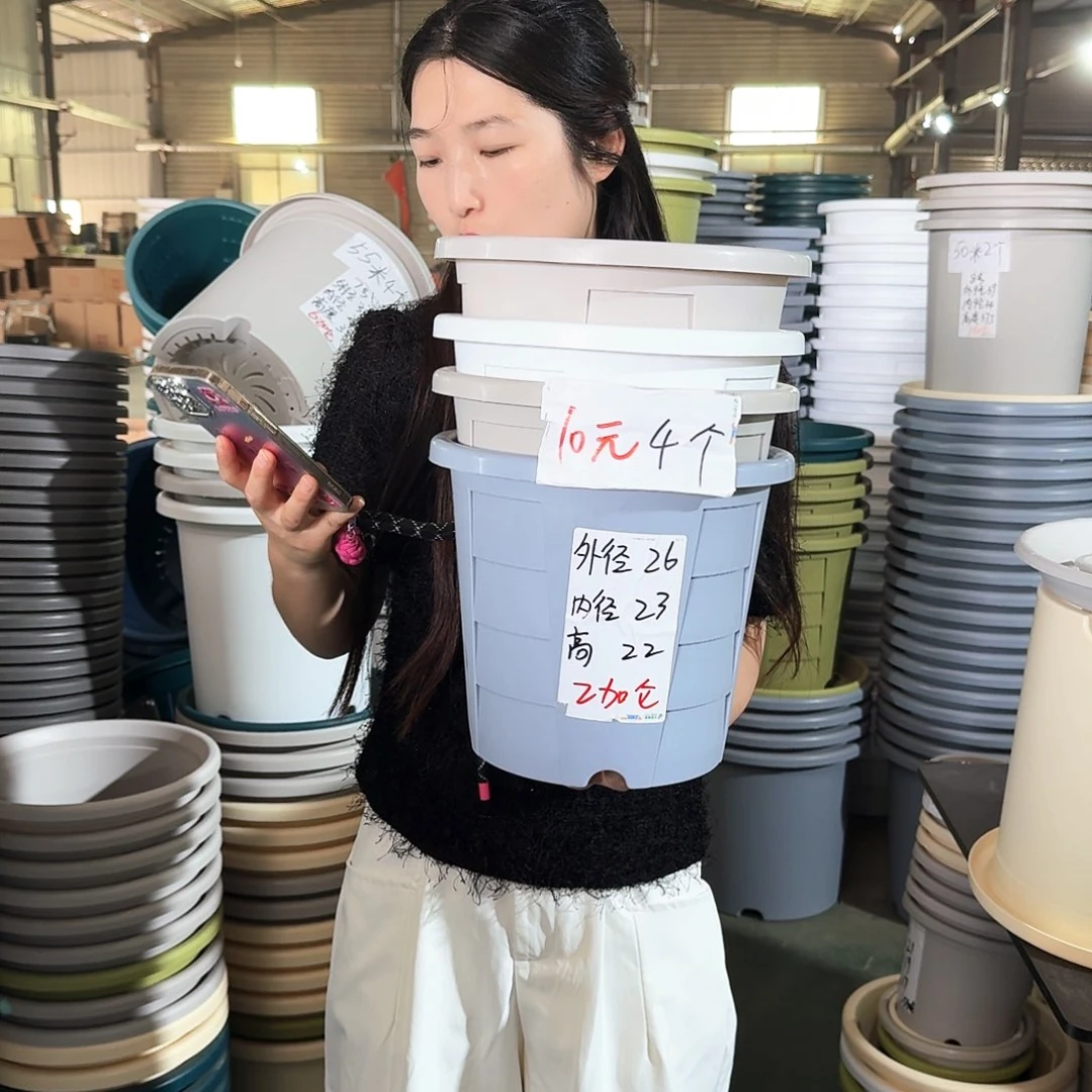 测3无拖纯白色4个