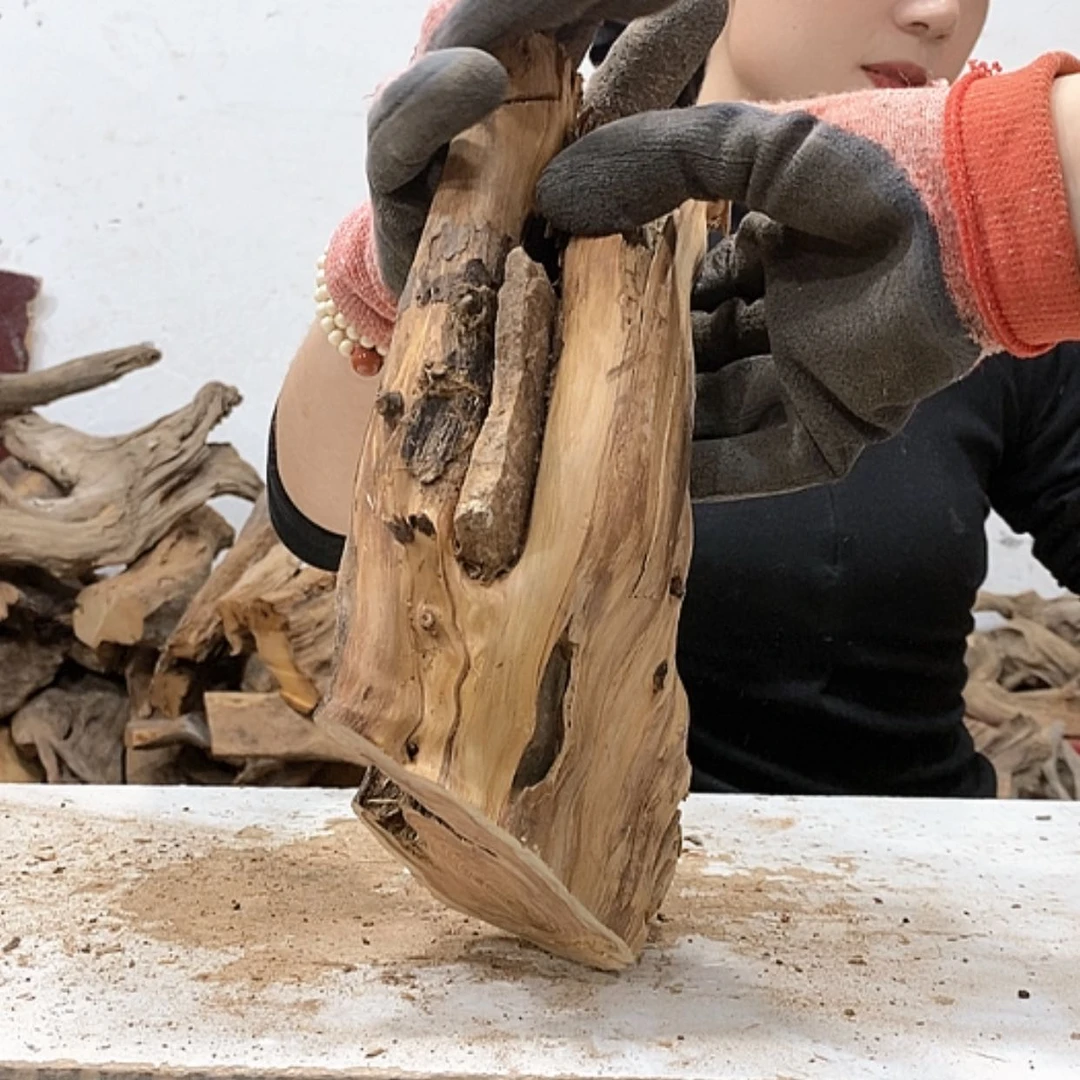 【闪购商品】柏木杨**业我们都是好孩子