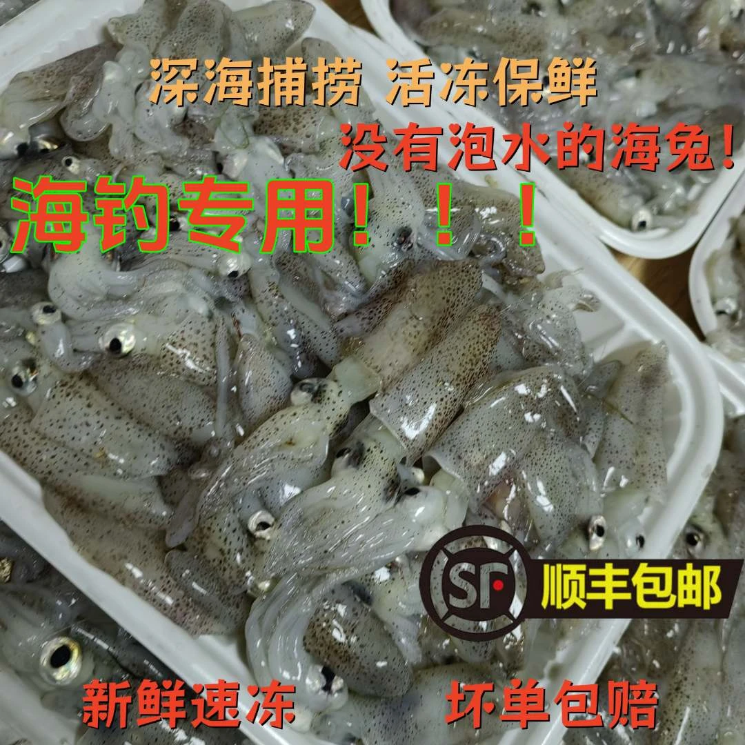 青岛原浆小海兔笔管钓鱼专用小个头海钓船钓曼琳鱼黑头顺丰包邮钓