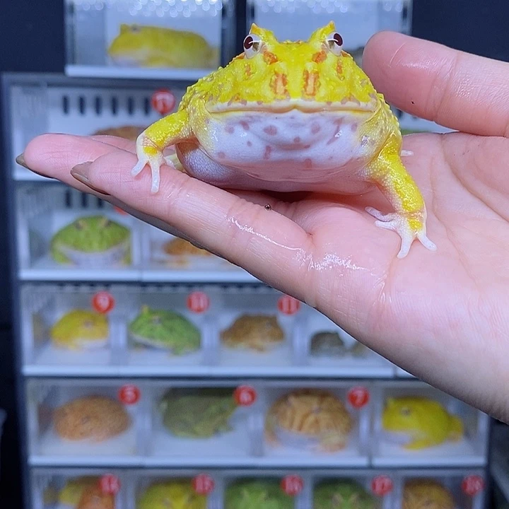 特价秒杀现货特价残